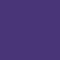 Latex interior exterior violeta europa 1/2 L