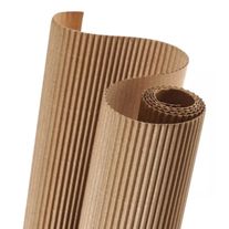 Carton corrugado 1 x 20 m