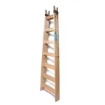 7escalones.jpg